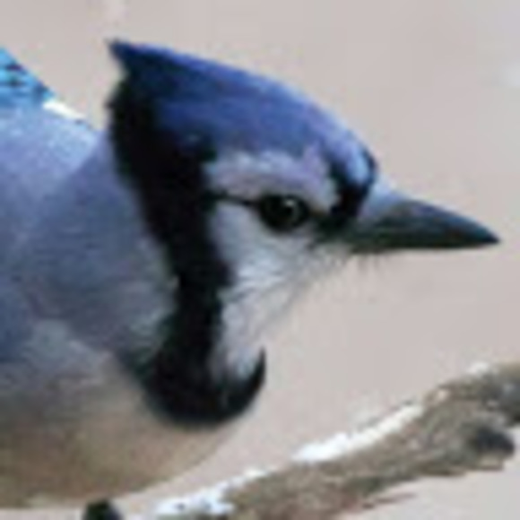 Meet your Posher, Seth - Picture 1 of 1